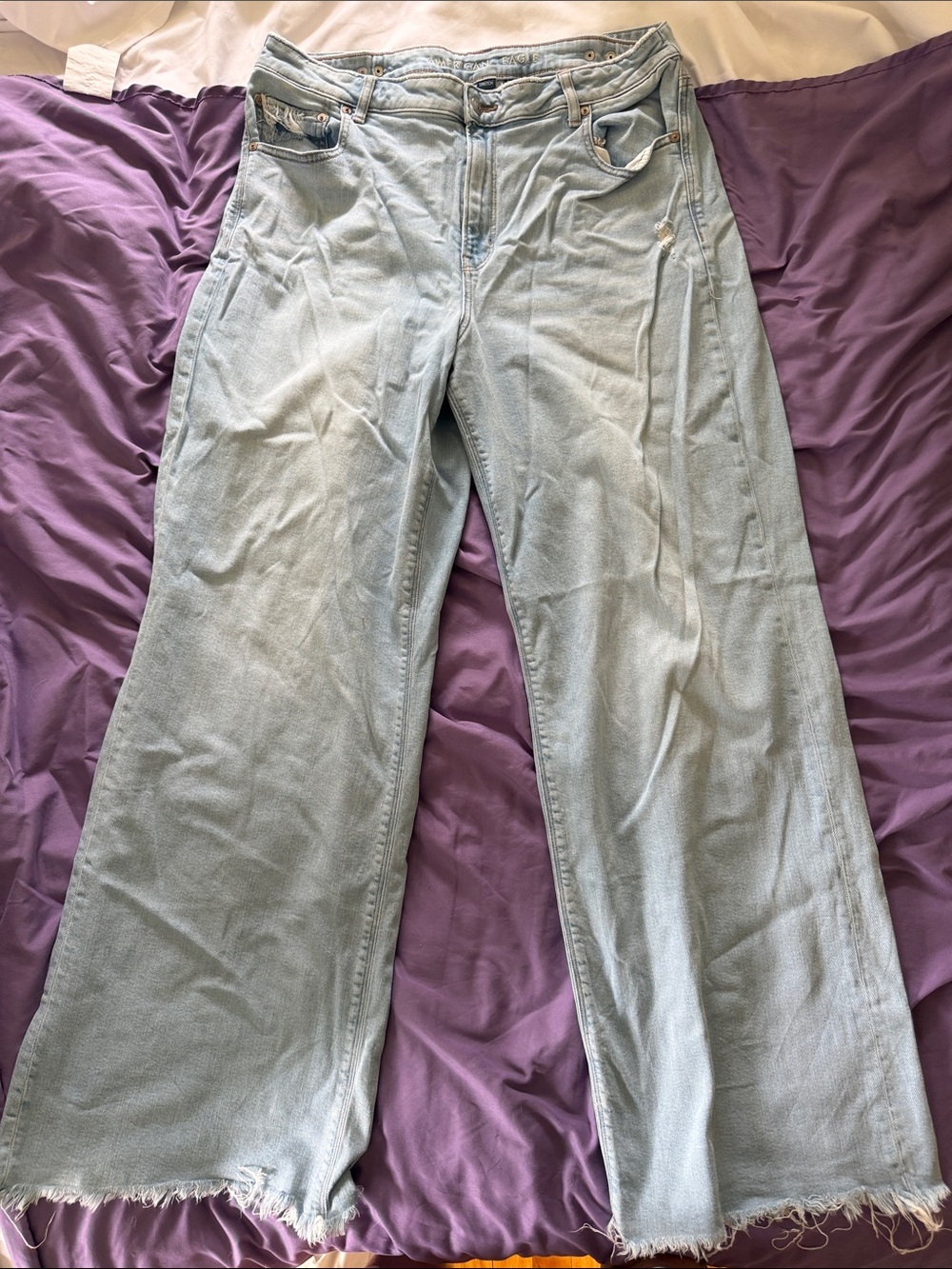 American Eagle Outfitters Light Wash Wide Leg Jeans